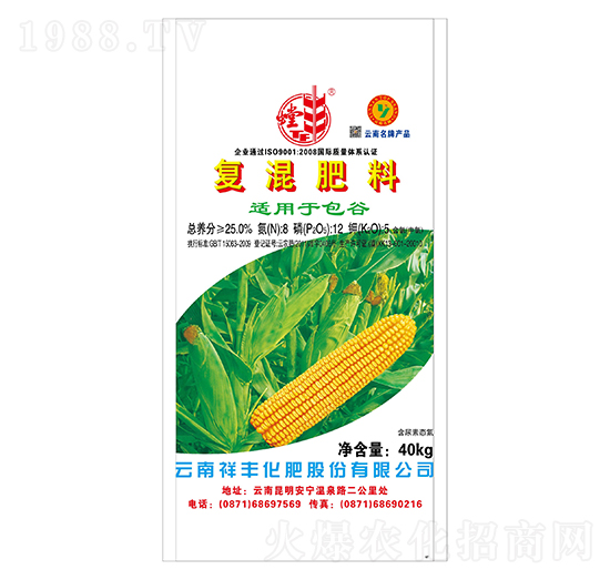 ���Ȍ��Ï�(f��)�����8-12-5-���S