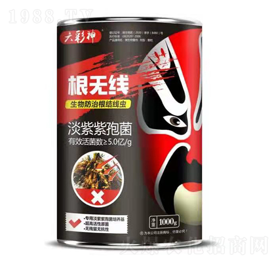 淡紫紫孢菌-根無線-萬邦