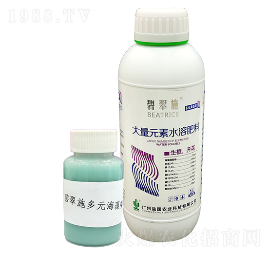 �̴�ʩ����Ԫ������ ���(gu��)�r(n��ng)�I(y��)