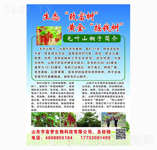 ë�~ɽͩ�� ���������