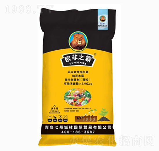 �����طN��-�W��֮��