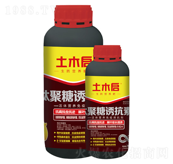 �ľ����T���� ��ľ������