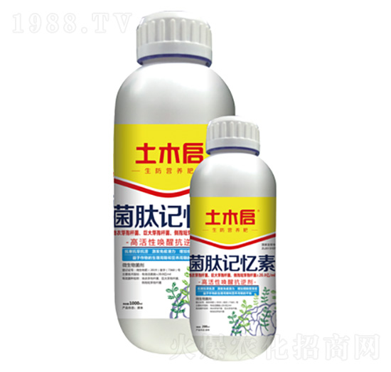 ����ӛ���� ��ľ������