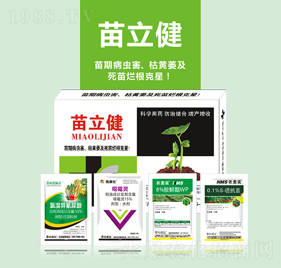 ������-�滯���h