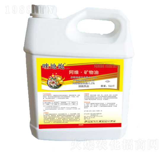 ���S���V����-����ڣ�����ˎ��-��������