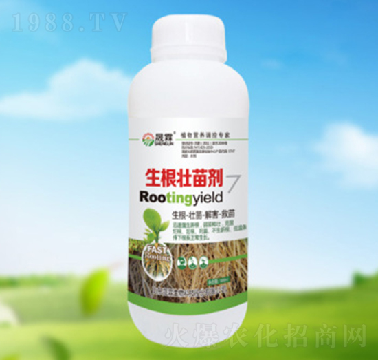 生根壯苗劑-晟霖生物