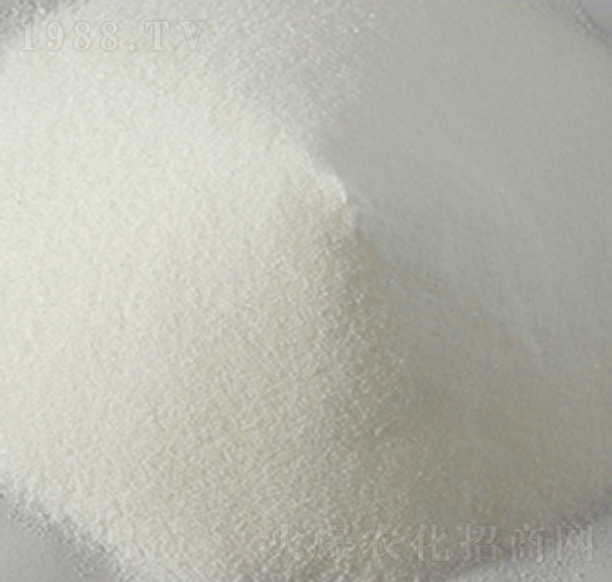 �̌��\-���R