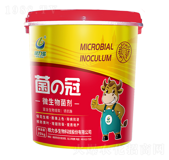 ΢�������-����-������