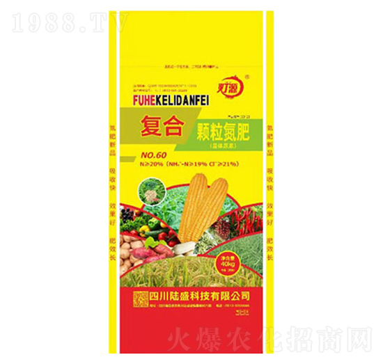 �ͺ��w������-�ʢ�Ƽ�