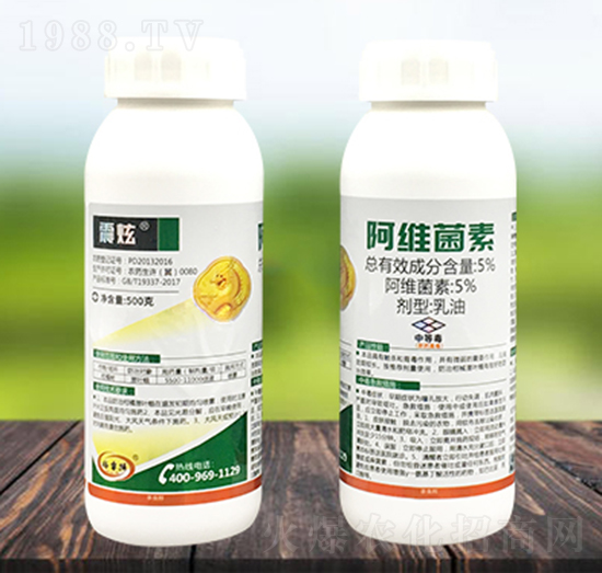 5%���S����-����-������