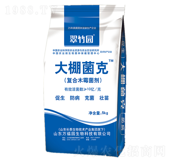 �������-�L(zh��ng)̩����