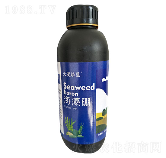 ������-��Į��-�κ�ϡ��