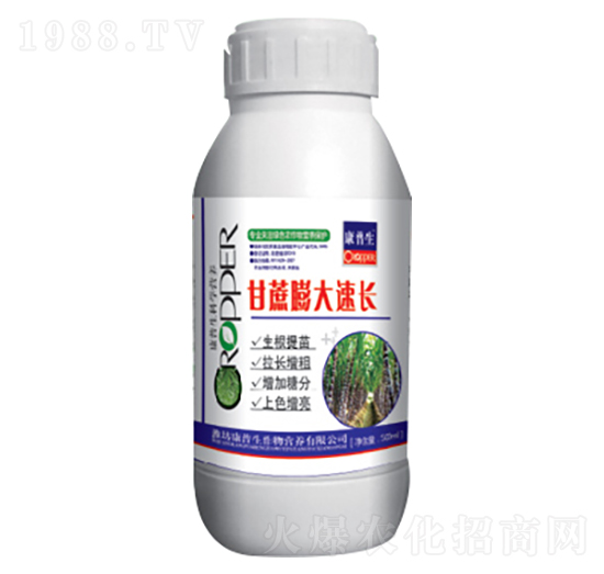 ����������L-������