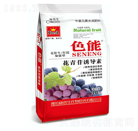 �������T��(d��o)��-ɫ��-������