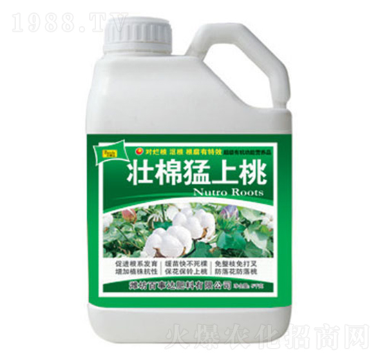 ����������-�����_(d��)