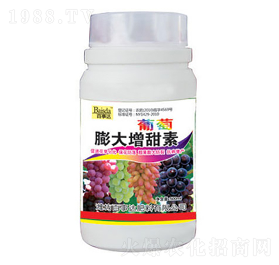 �������������-�����_(d��)