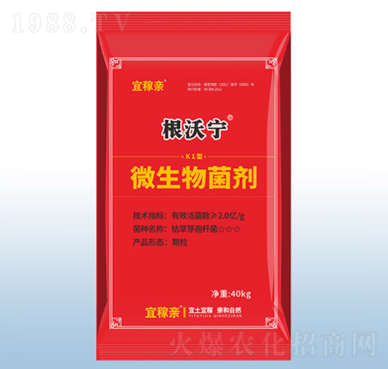 ΢�������-���֌�K1��-�ڰ�