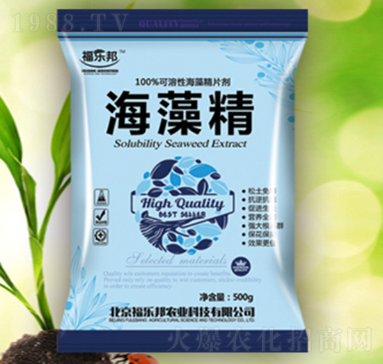 ���徫-����(l��)��