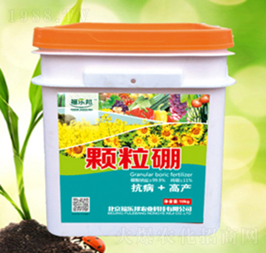 �w����-������