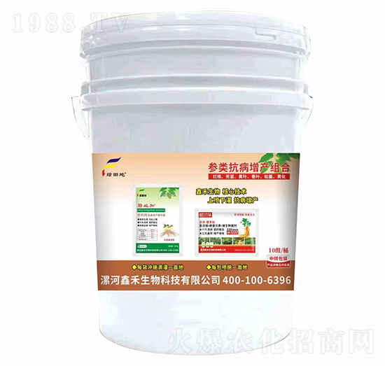 ��������a�ײ�-�G���-�κ�����