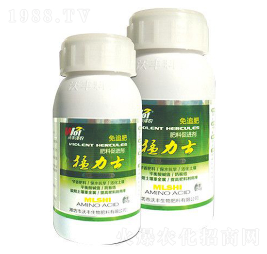 ����ʿ-���S���r-���S����