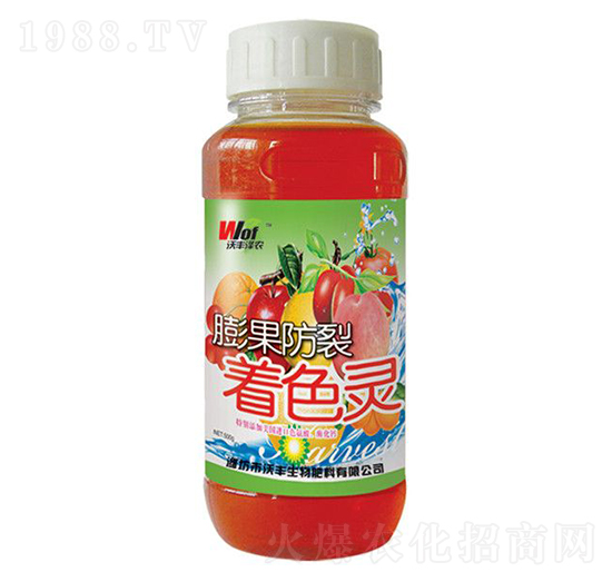 ���������ɫ�`-���S���r-���S����