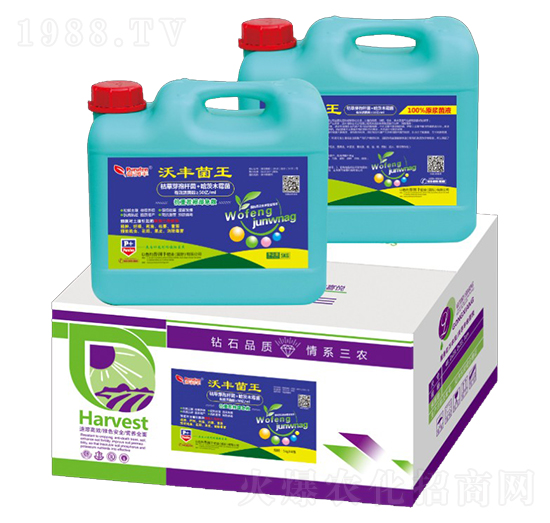 ���S����-�՝�(r��n)�S