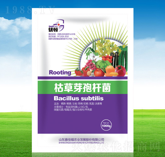 �ݲ�ѿ�ߗU��-��(y��u)�D-�μѸ�