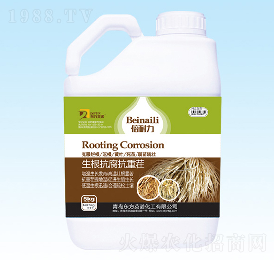 �������_ʩ��-�|��Ӣ�Z