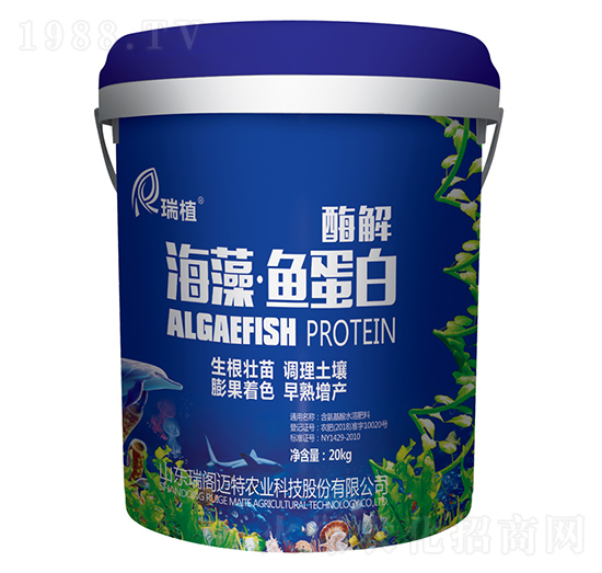 ø�⺣���~����-��ֲ-���w�~��