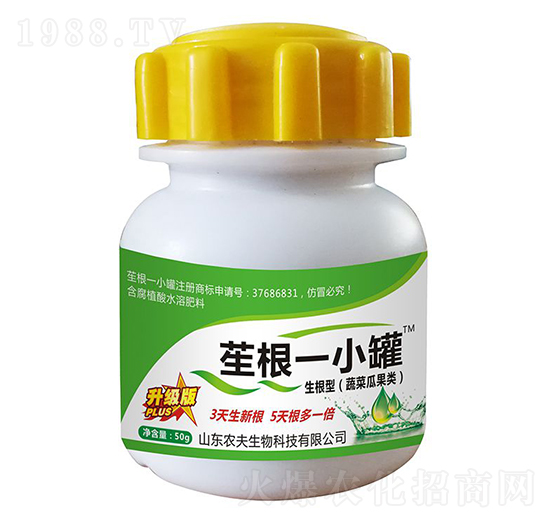 Ɓ��һС��-�r��