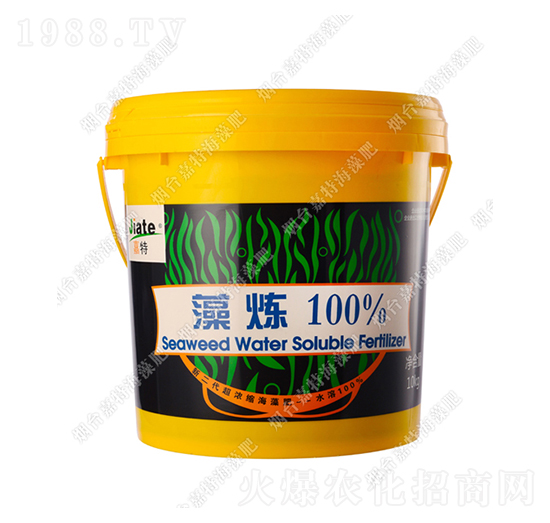 �埒-��������