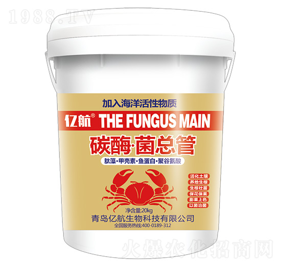 ̼ø��������-�|��