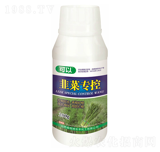 �²ˌ����~���-����-�L�S����