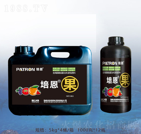 �����-�ٝ��ݰ�