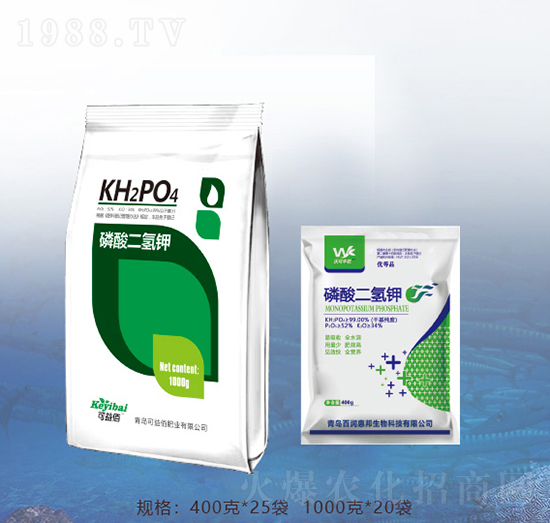 �������⛣�����-�ٝ��ݰ�