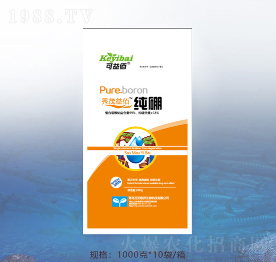 ����-�ٝ��ݰ�