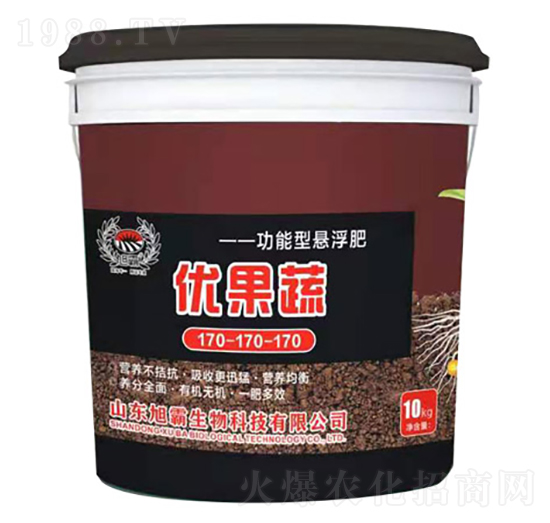 �����͑Ҹ���170-170-170-��(y��u)����-�������