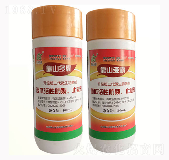 ���ϻ��Է��ф�-��ɽ����