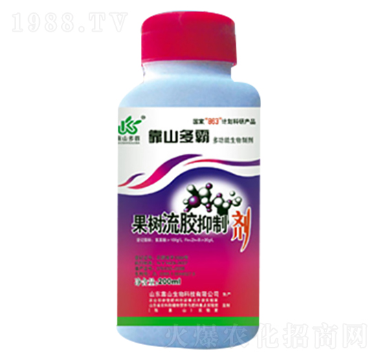 �������z���Ƅ�-��ɽ����