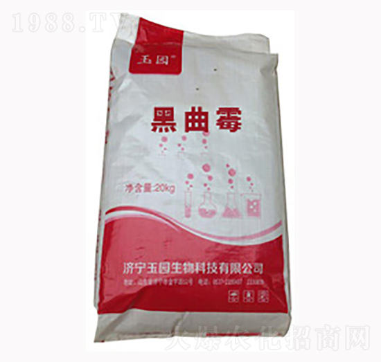 ����ù-�L̩����