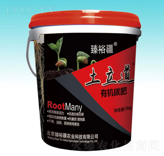 ������-��ԣ��