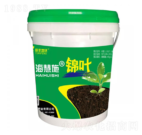 �\�~-����ʩ-���S����