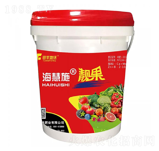 �n��-����ʩ-���S����