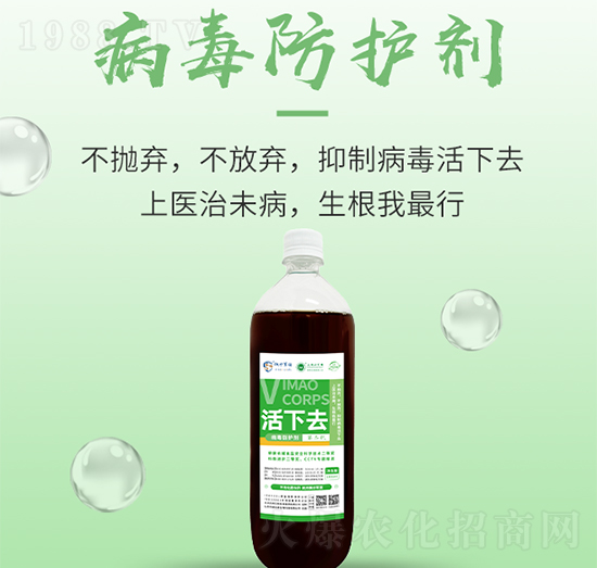 �������o��-����ȥ-���S����