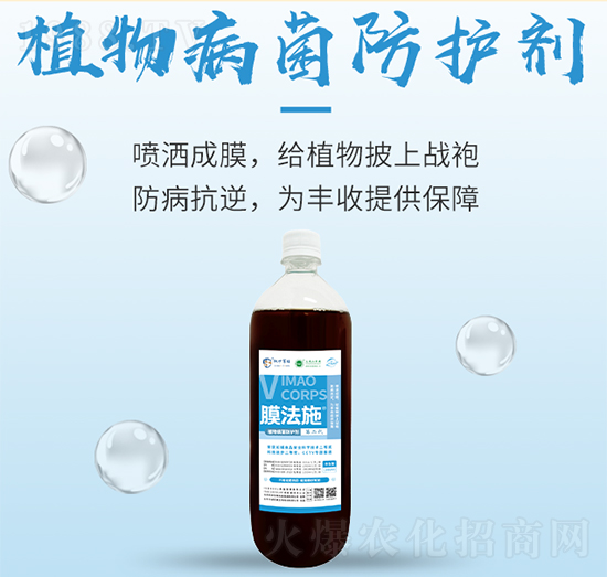 ֲ�ﲡ�����o��-Ĥ��ʩ-���S����