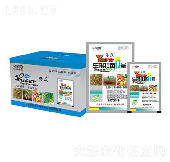 ��������1̖(h��o)-�A�����Z