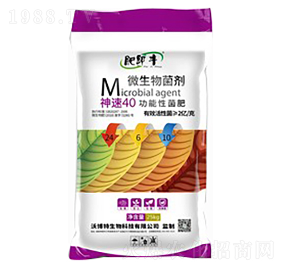 ����40�����Ծ���24-6-10-�ʼ��S-�ֲ���