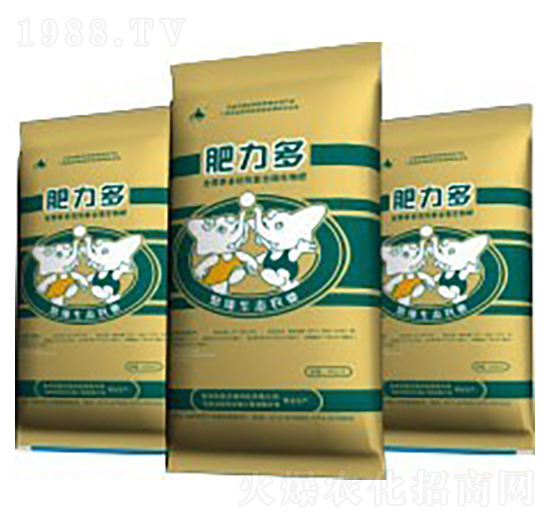 �Z�ǌ�����-������1̖(h��o)-��������