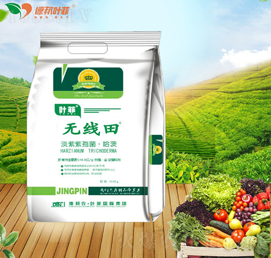 �������߾�������-�o����-�°��~��